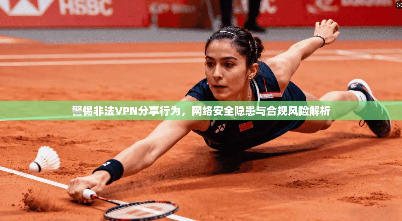 警惕非法VPN分享行为，网络安全隐患与合规风险解析