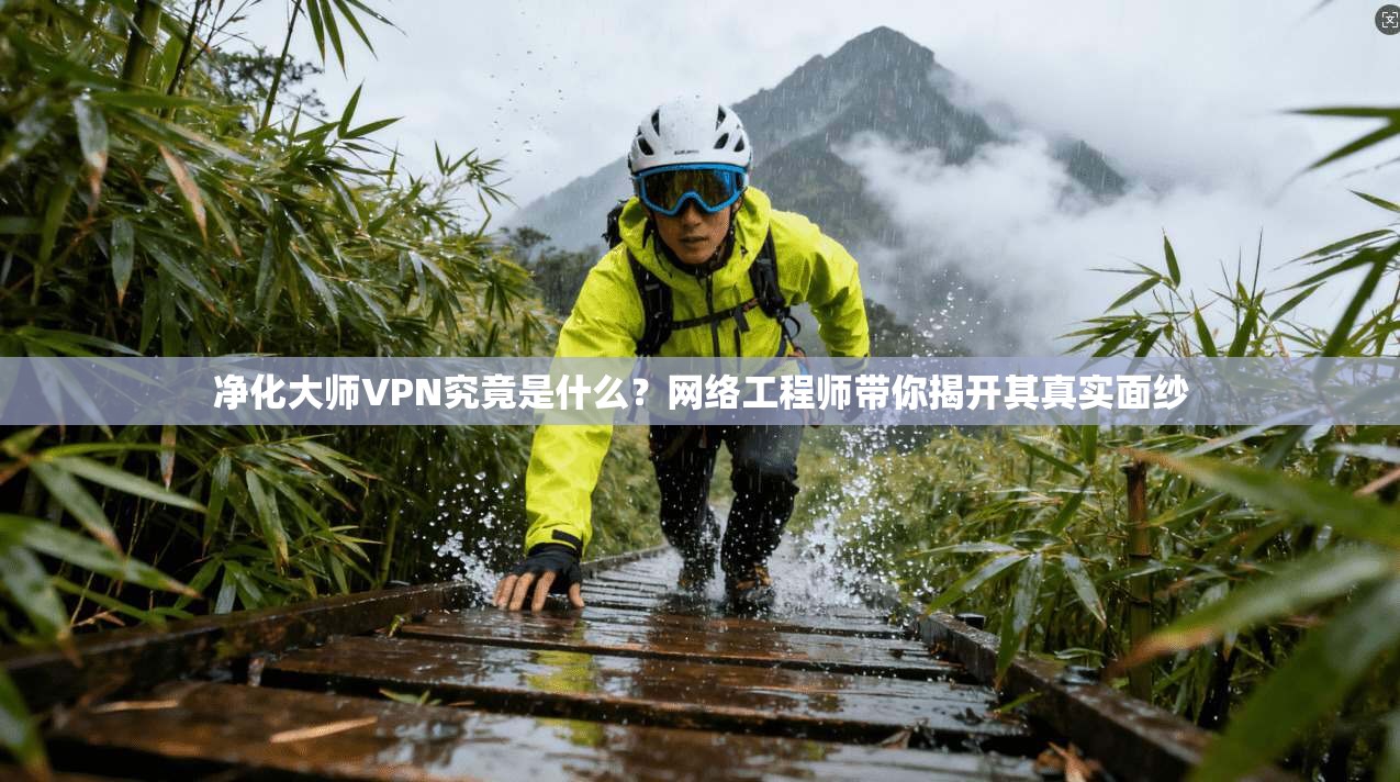 净化大师VPN究竟是什么？网络工程师带你揭开其真实面纱