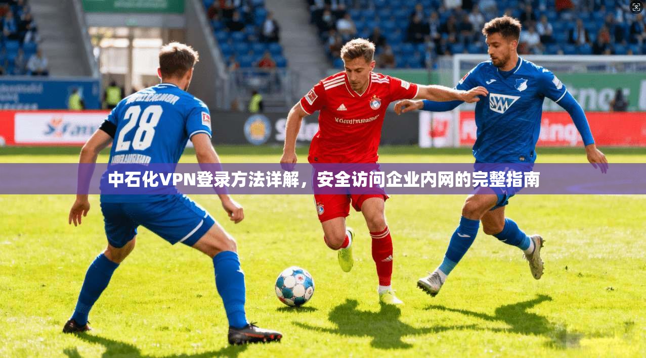 中石化VPN登录方法详解，安全访问企业内网的完整指南