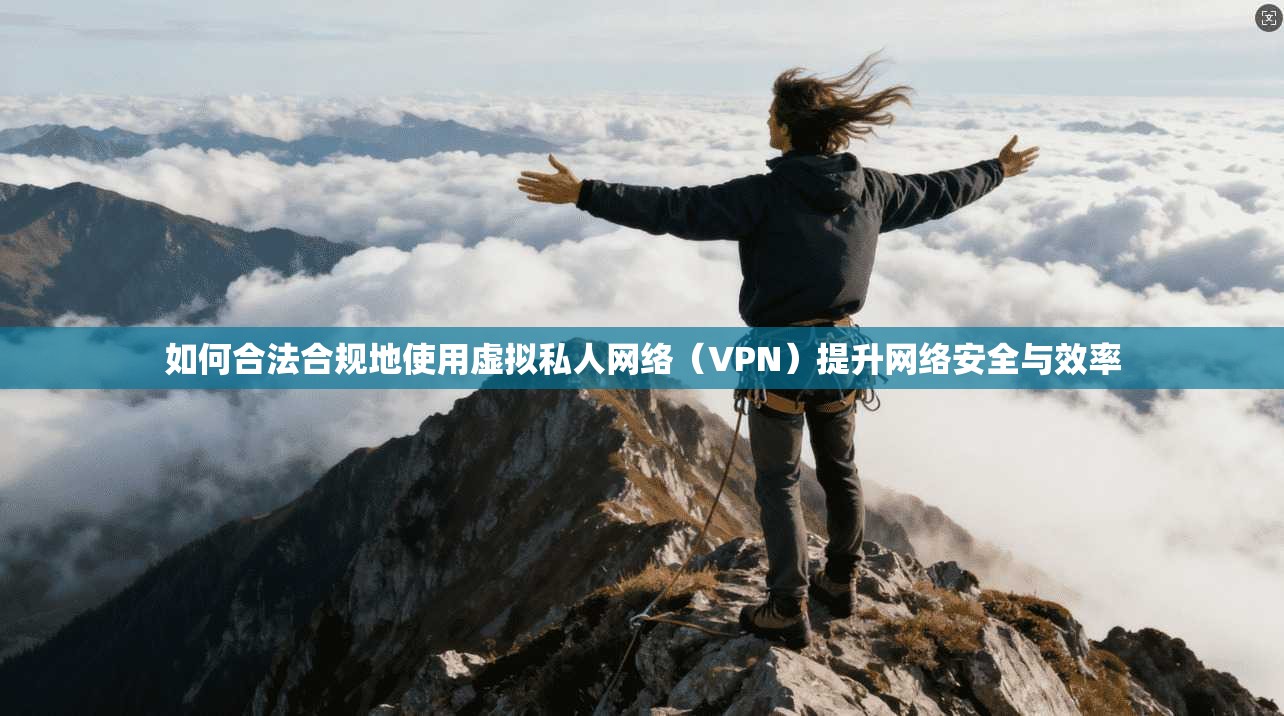如何合法合规地使用虚拟私人网络（VPN）提升网络安全与效率