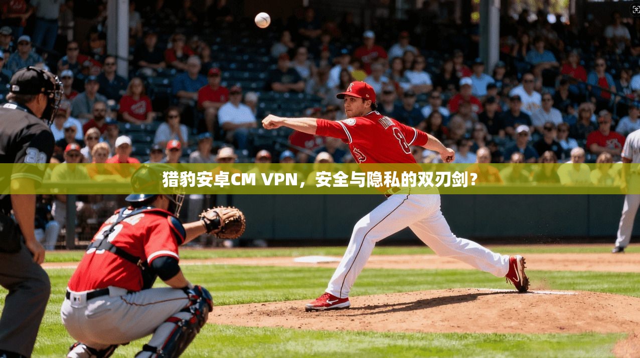 猎豹安卓CM VPN，安全与隐私的双刃剑？