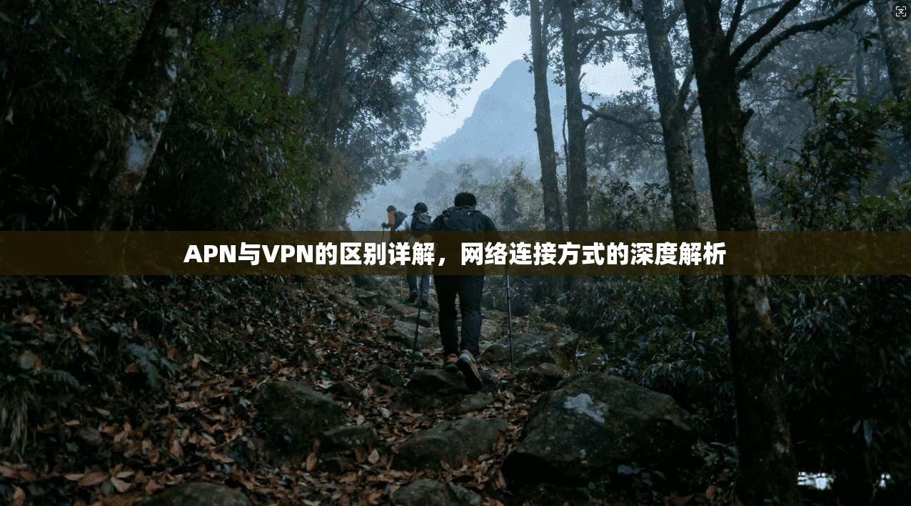 APN与VPN的区别详解，网络连接方式的深度解析