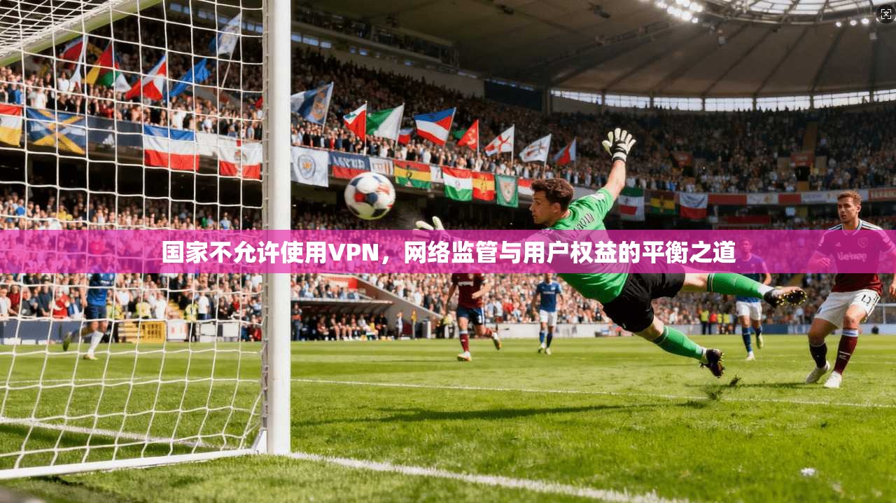 国家不允许使用VPN,网络监管与用户权益的平衡之道