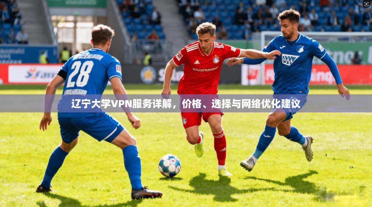 辽宁大学VPN服务详解，价格、选择与网络优化建议