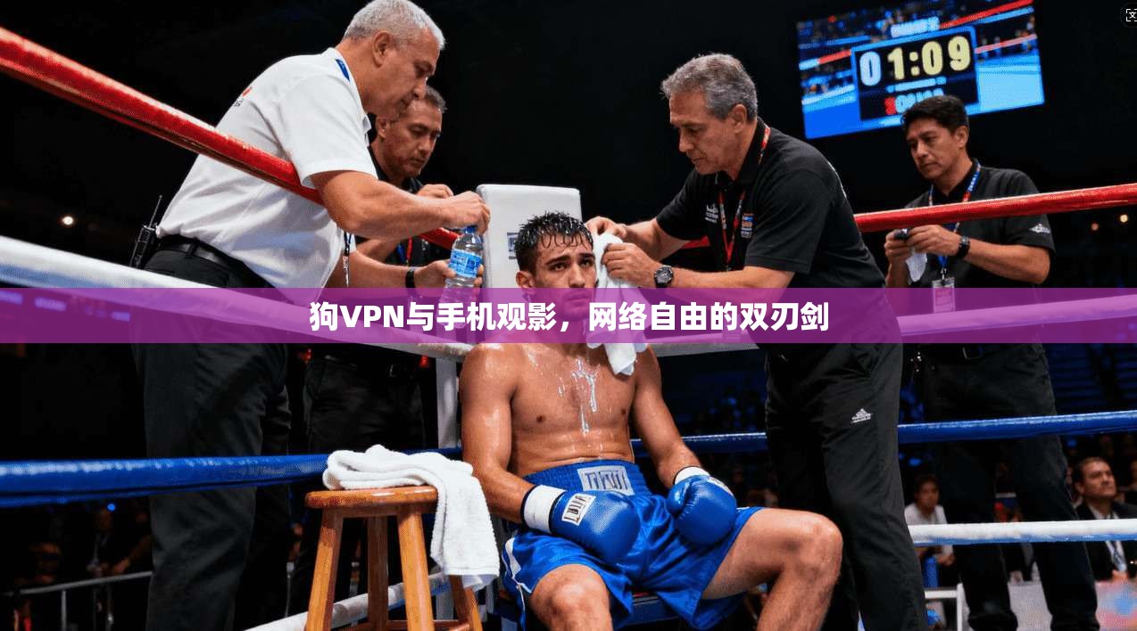 狗VPN与手机观影，网络自由的双刃剑