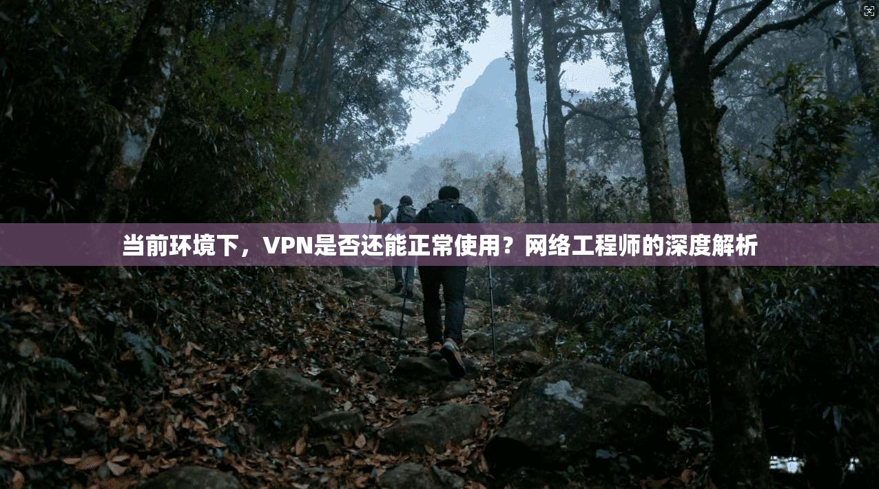 当前环境下，VPN是否还能正常使用？网络工程师的深度解析