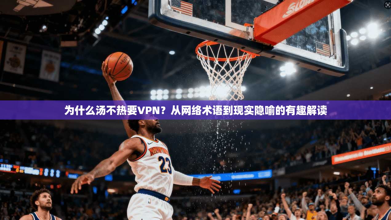 为什么汤不热要VPN？从网络术语到现实隐喻的有趣解读