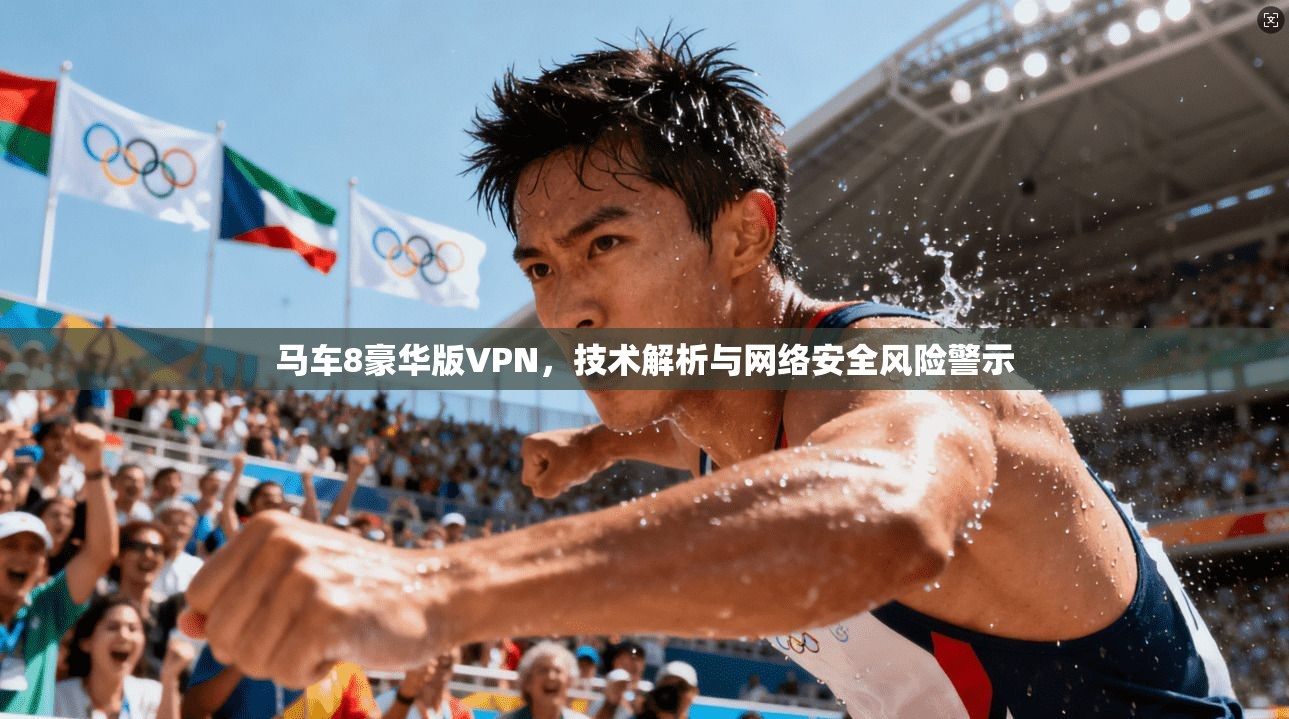 马车8豪华版VPN，技术解析与网络安全风险警示