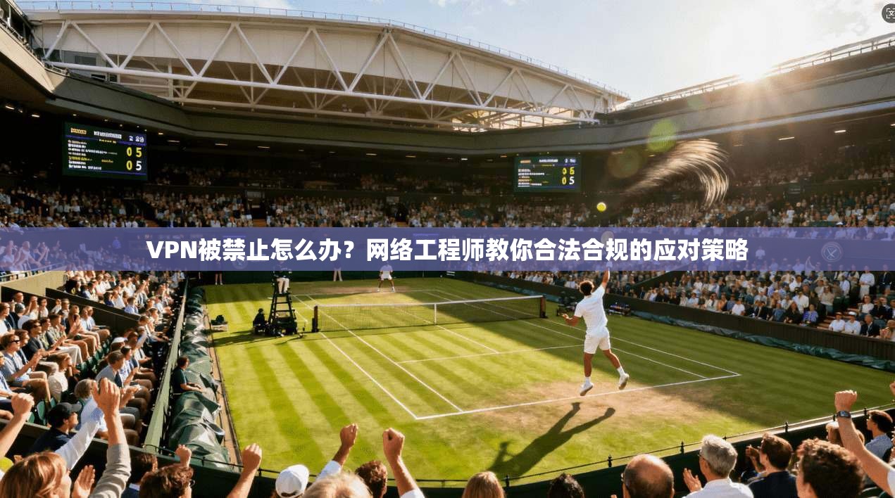 VPN被禁止怎么办?网络工程师教你合法合规的应对策略