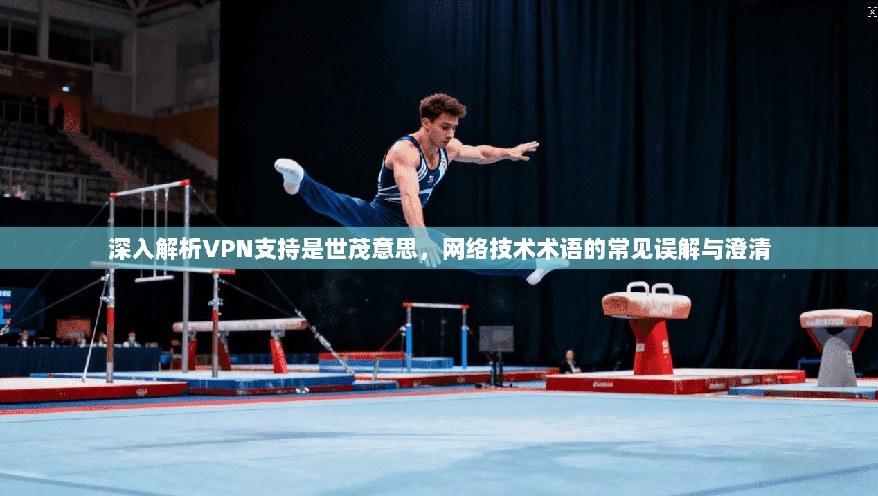 深入解析VPN支持是世茂意思，网络技术术语的常见误解与澄清