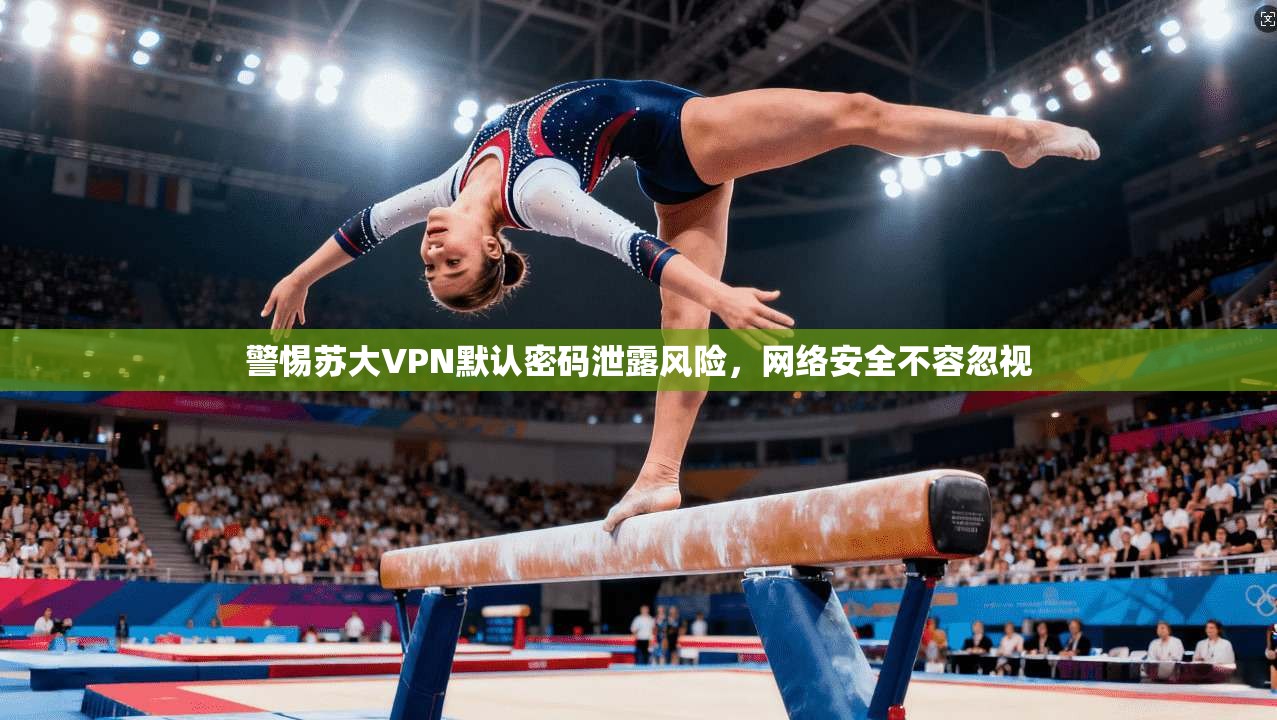 警惕苏大VPN默认密码泄露风险，网络安全不容忽视