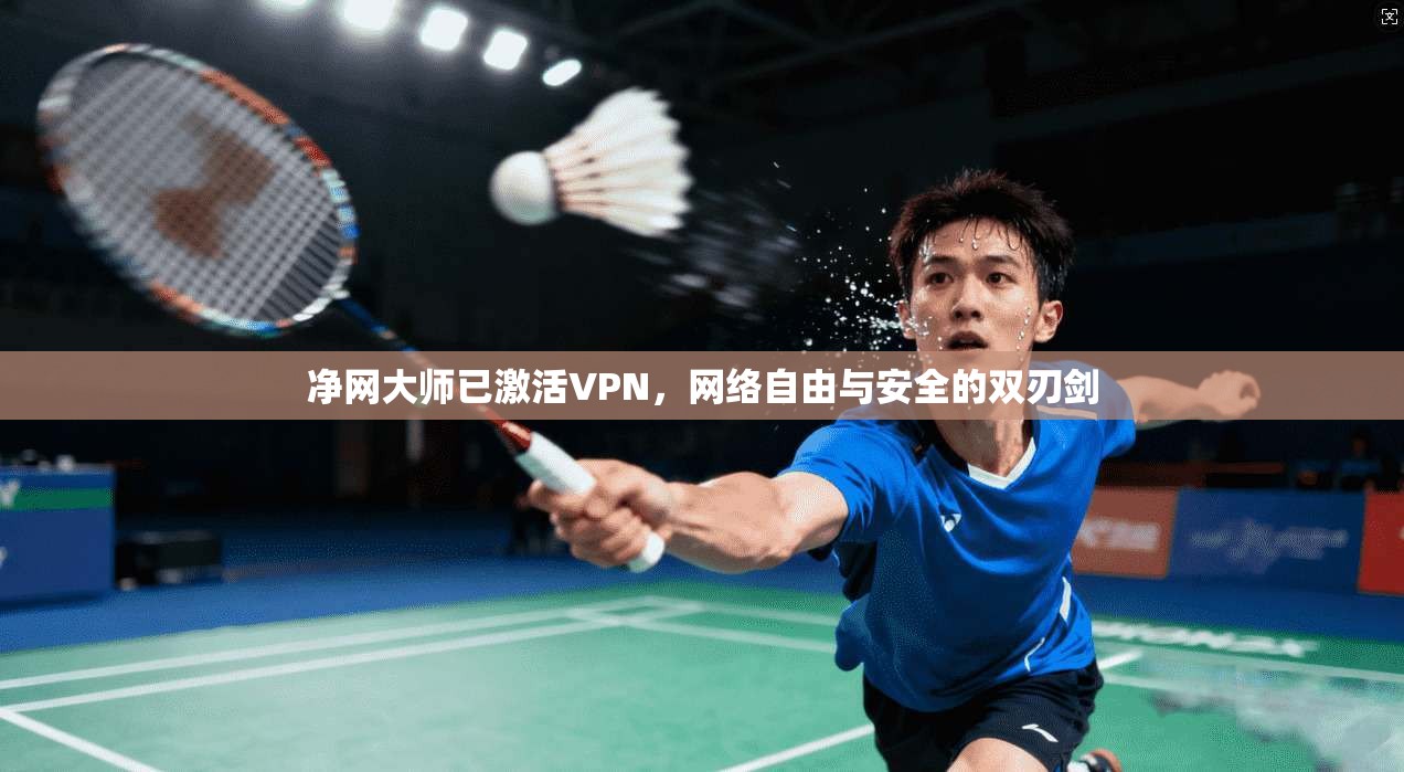 净网大师已激活VPN，网络自由与安全的双刃剑