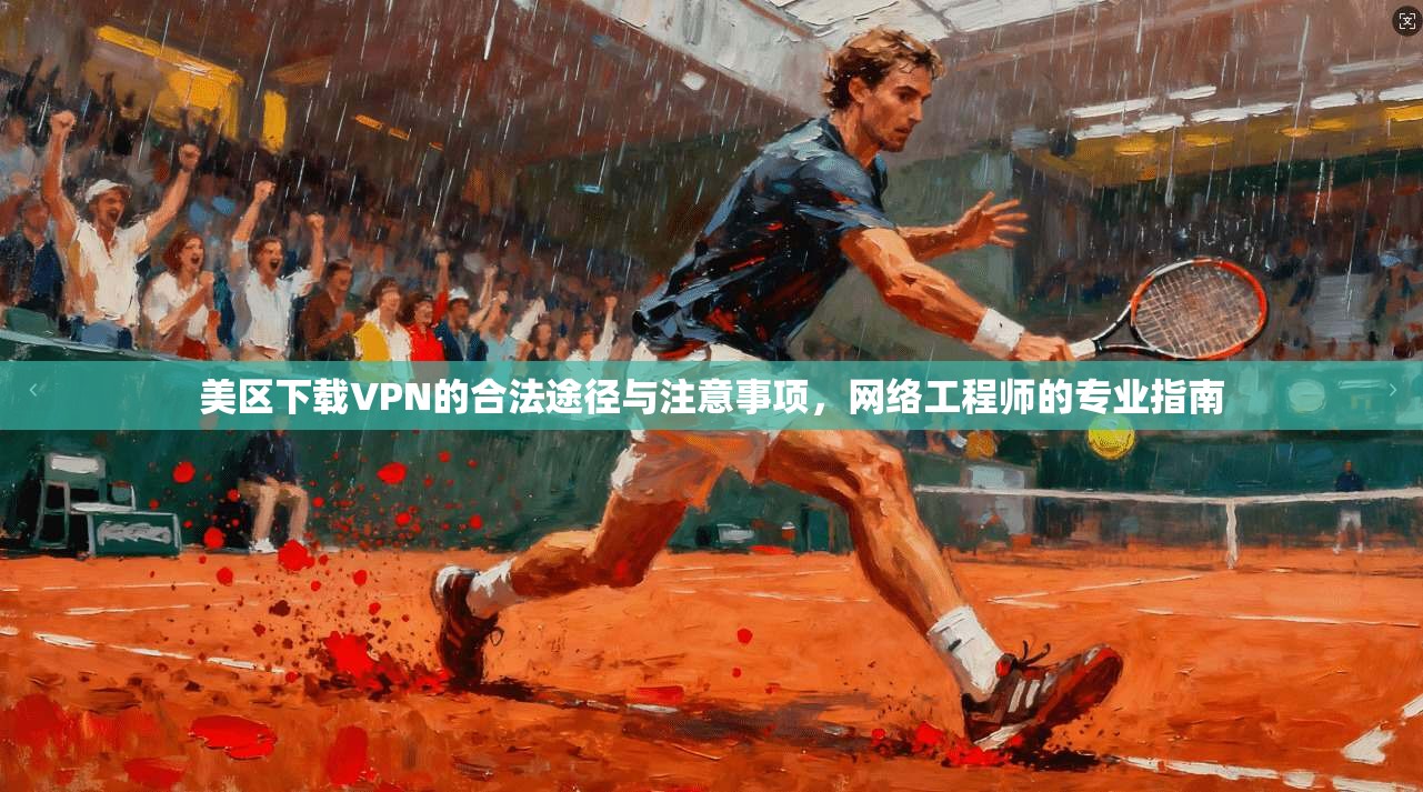 美区下载VPN的合法途径与注意事项，网络工程师的专业指南