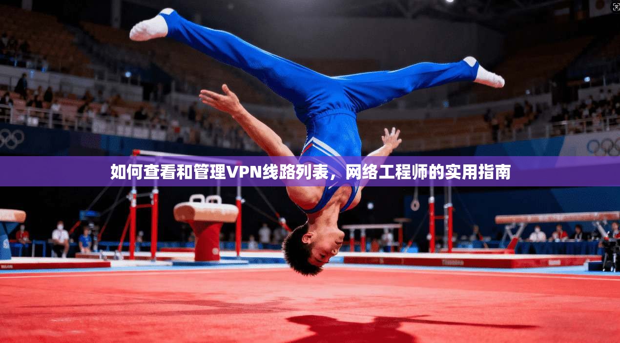 如何查看和管理VPN线路列表，网络工程师的实用指南