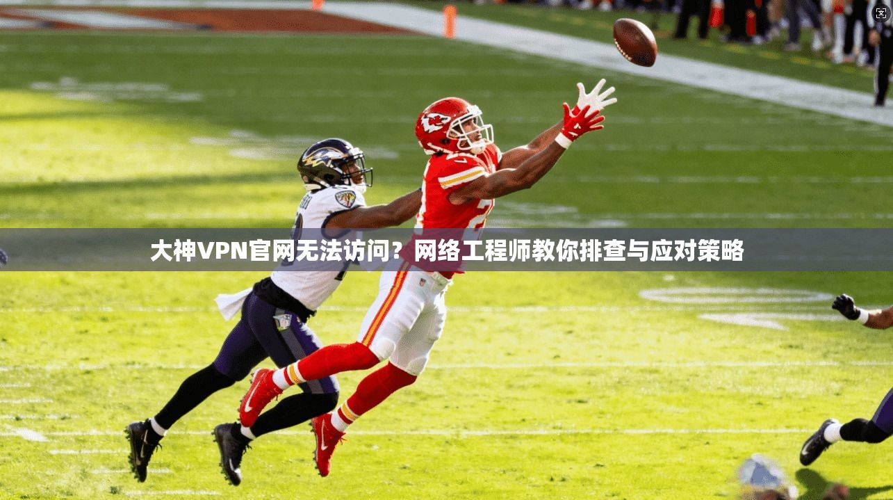 大神VPN官网无法访问？网络工程师教你排查与应对策略