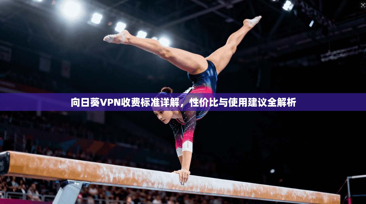 向日葵VPN收费标准详解，性价比与使用建议全解析