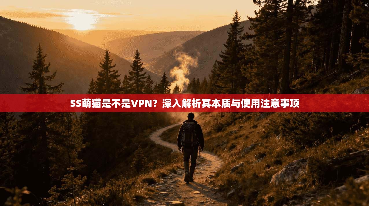 SS萌猫是不是VPN？深入解析其本质与使用注意事项