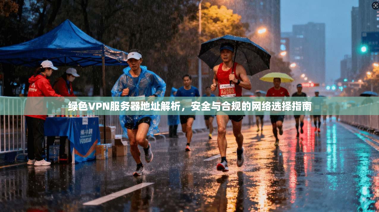 绿色VPN服务器地址解析，安全与合规的网络选择指南