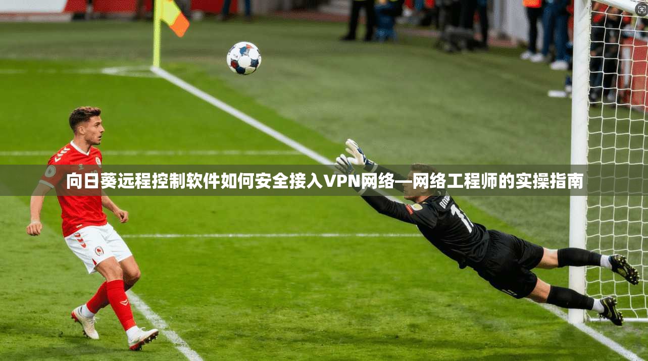 向日葵远程控制软件如何安全接入VPN网络—网络工程师的实操指南