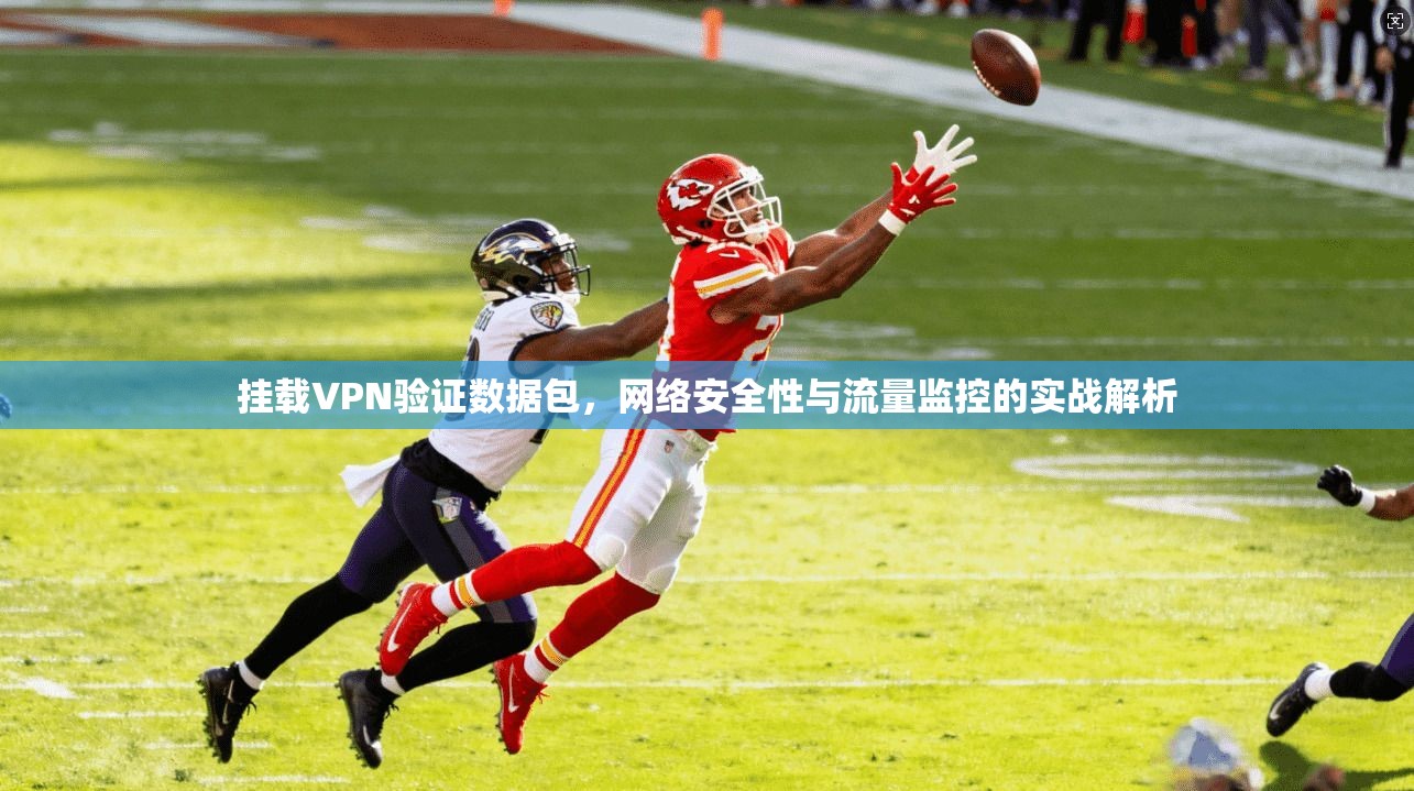 挂载VPN验证数据包,网络安全性与流量监控的实战解析