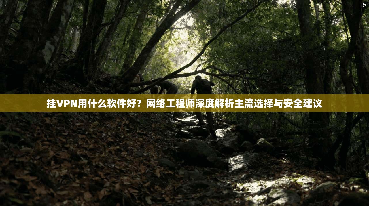 挂VPN用什么软件好？网络工程师深度解析主流选择与安全建议