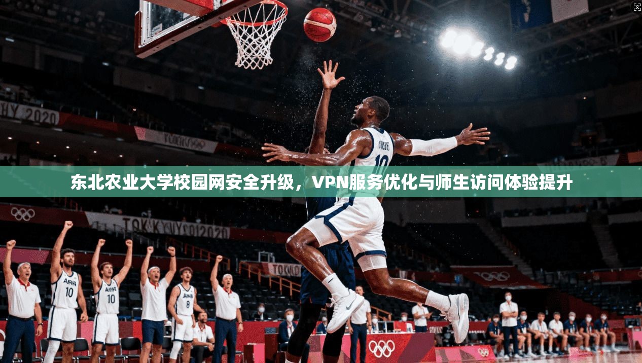 东北农业大学校园网安全升级，VPN服务优化与师生访问体验提升