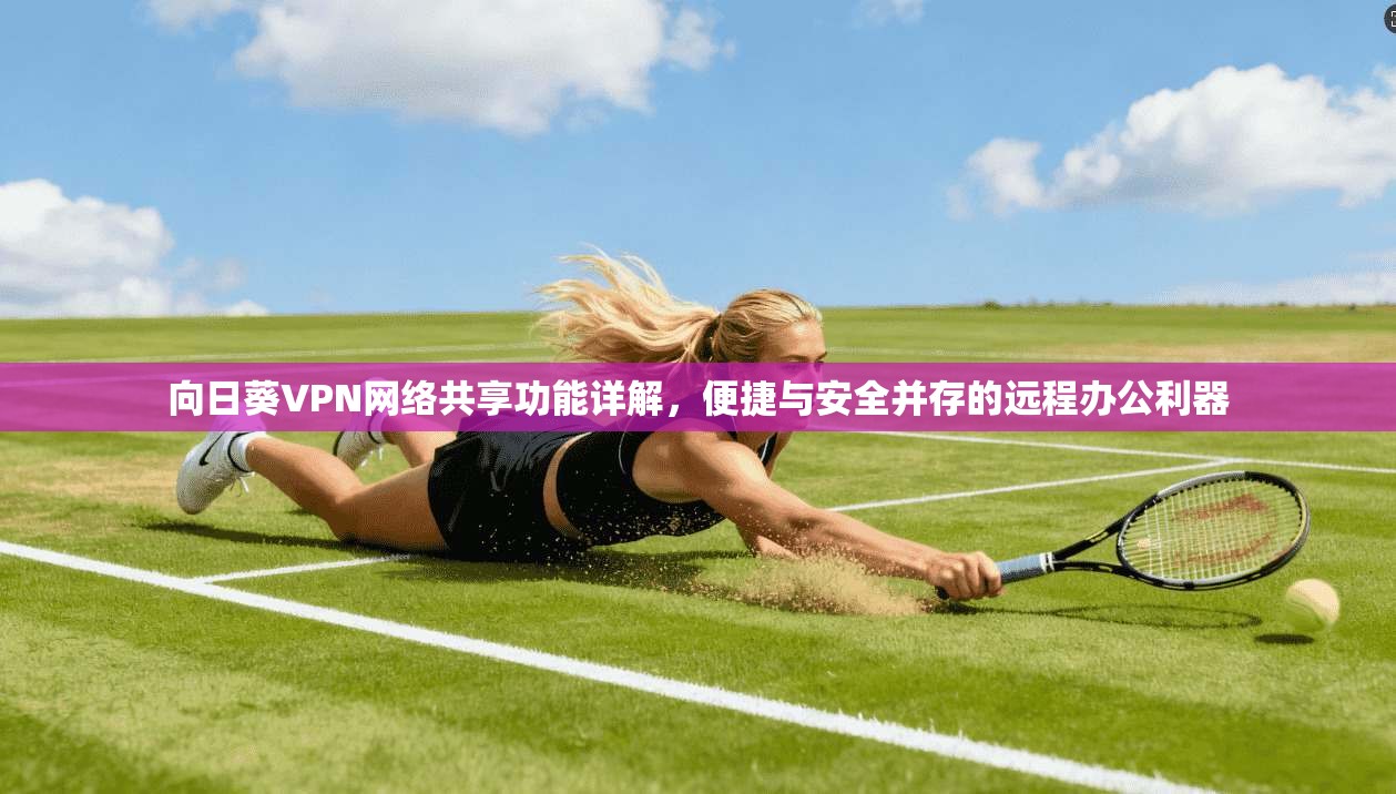 向日葵VPN网络共享功能详解，便捷与安全并存的远程办公利器