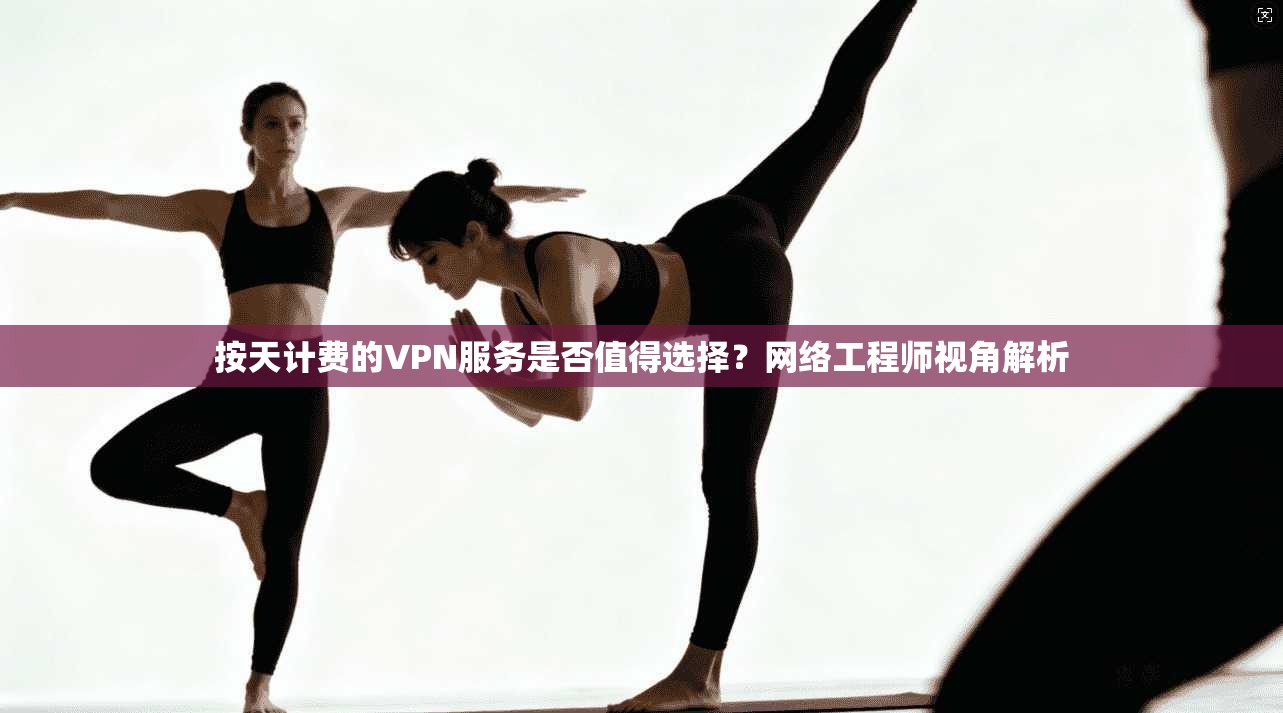 按天计费的VPN服务是否值得选择？网络工程师视角解析