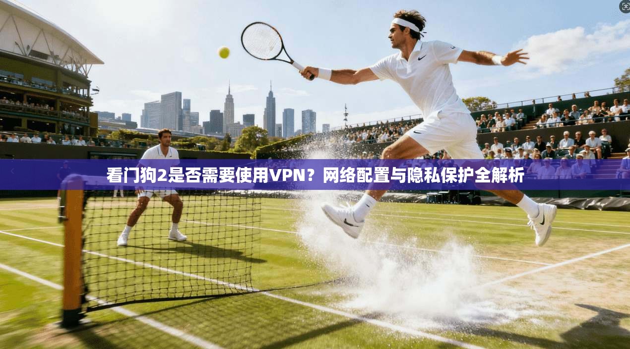看门狗2是否需要使用VPN？网络配置与隐私保护全解析