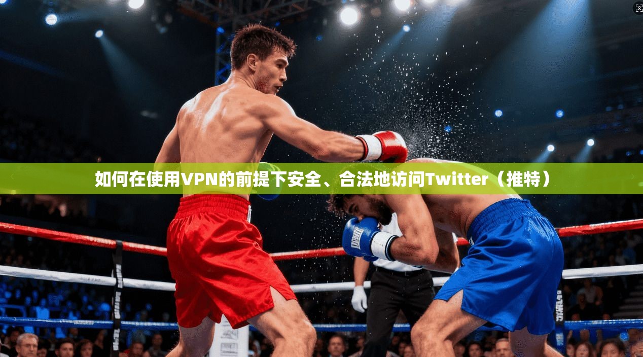 如何在使用VPN的前提下安全、合法地访问Twitter(推特)