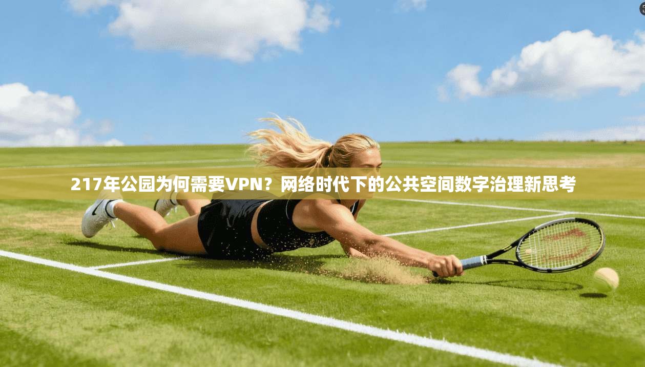 217年公园为何需要VPN？网络时代下的公共空间数字治理新思考