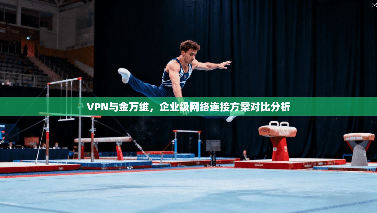 VPN与金万维，企业级网络连接方案对比分析
