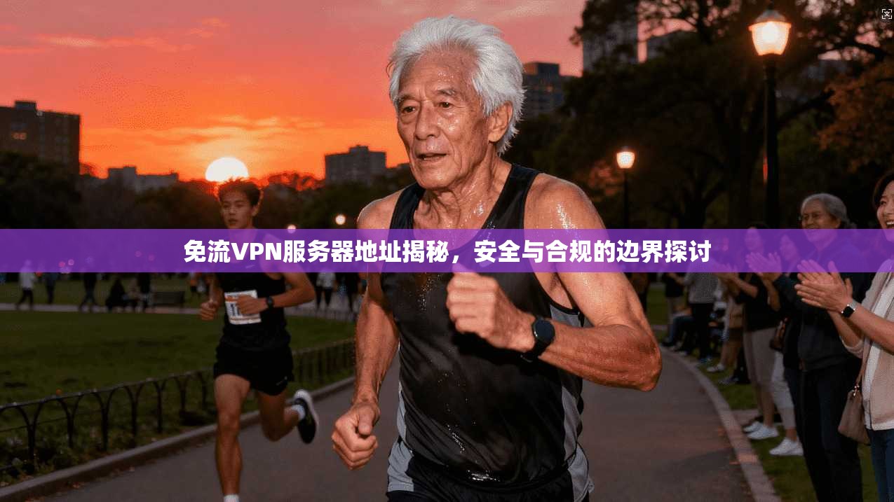 免流VPN服务器地址揭秘，安全与合规的边界探讨