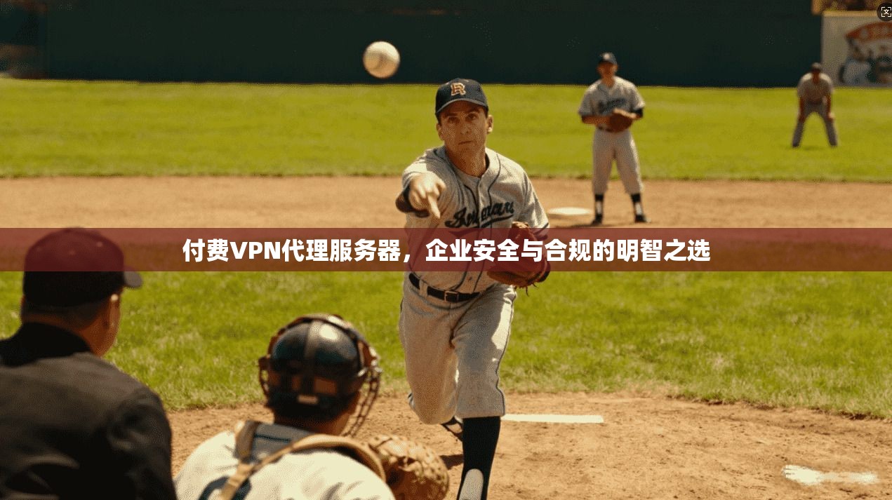付费VPN代理服务器，企业安全与合规的明智之选