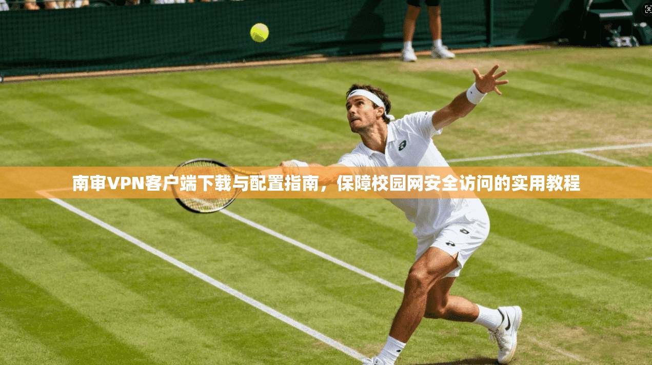 南审VPN客户端下载与配置指南，保障校园网安全访问的实用教程
