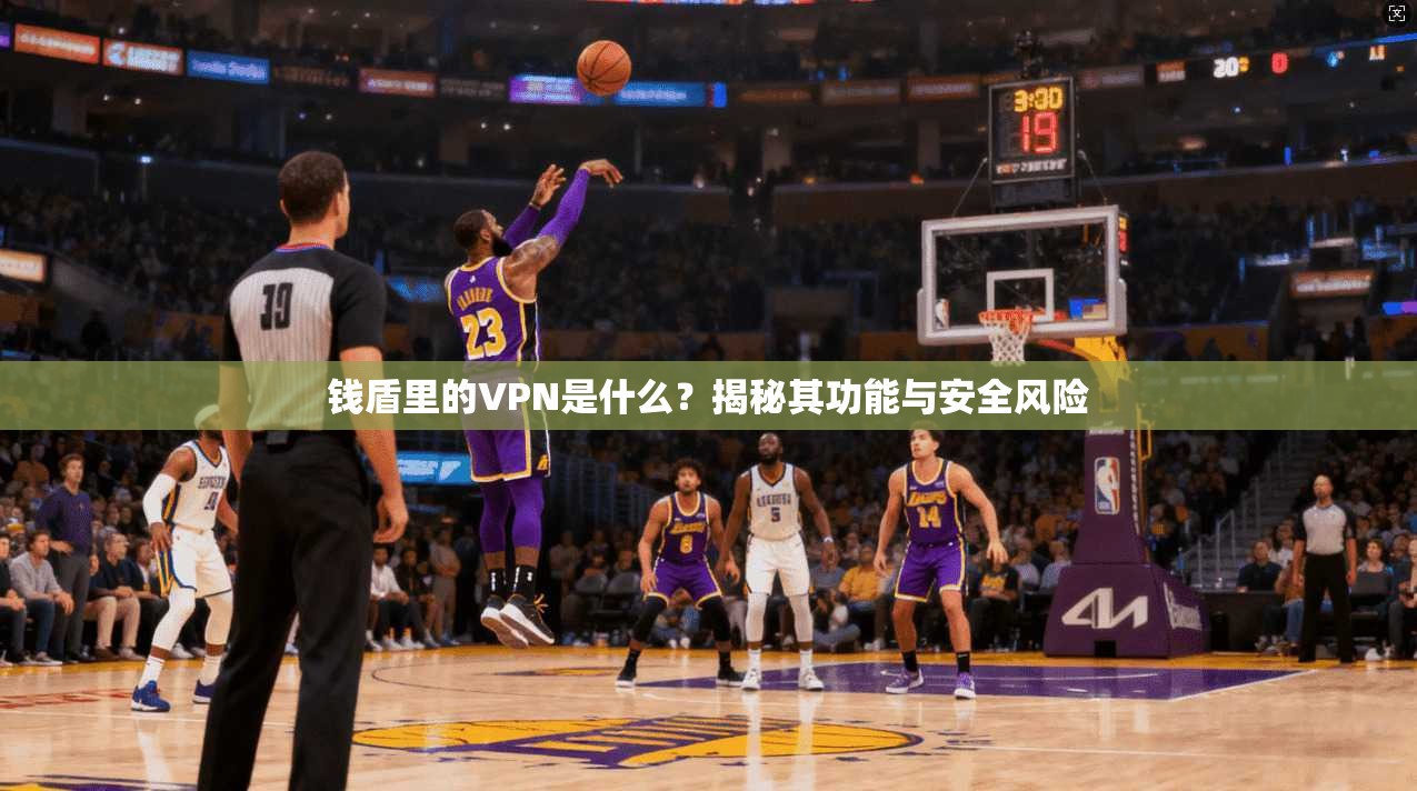 钱盾里的VPN是什么？揭秘其功能与安全风险