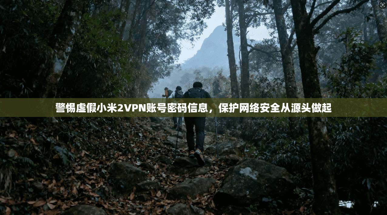 警惕虚假小米2VPN账号密码信息，保护网络安全从源头做起