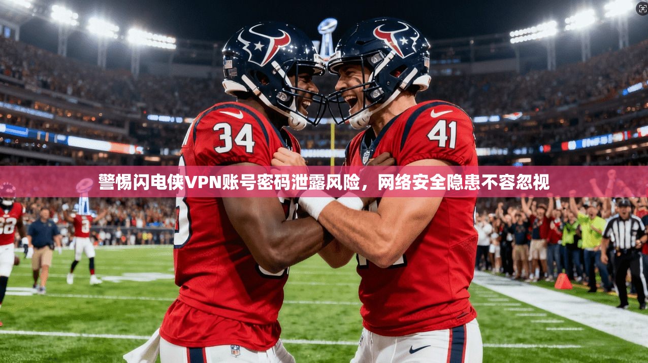 警惕闪电侠VPN账号密码泄露风险，网络安全隐患不容忽视
