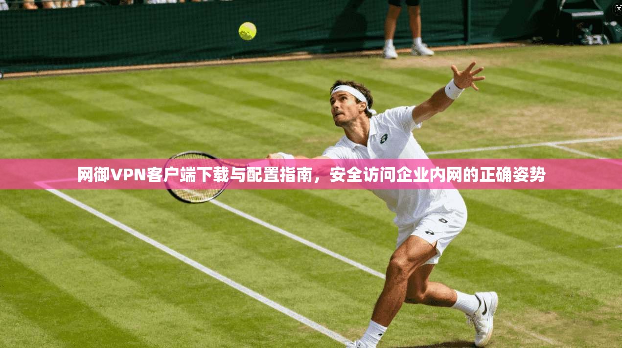 网御VPN客户端下载与配置指南,安全访问企业内网的正确姿势