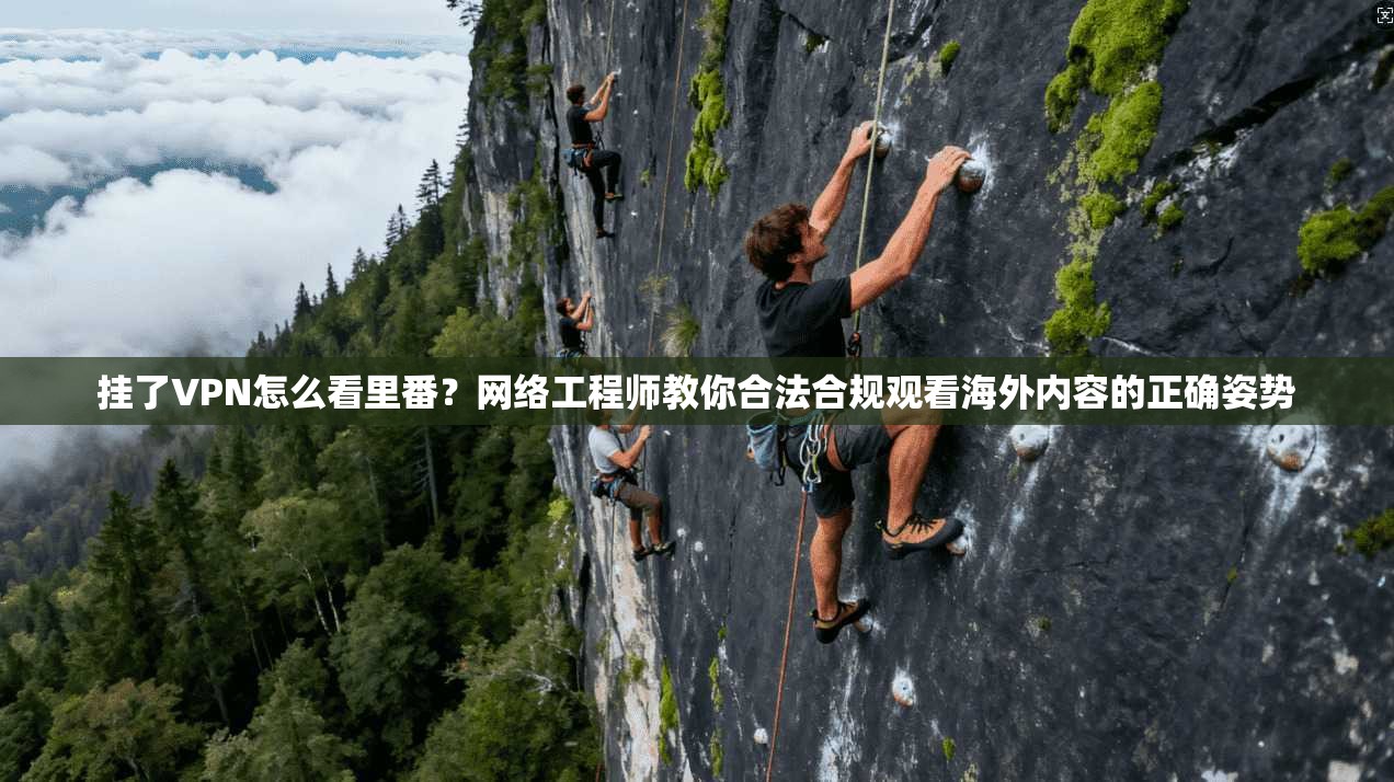挂了VPN怎么看里番?网络工程师教你合法合规观看海外内容的正确姿势 挂了VPN怎么看里番?网络工程师教你合法合规观看海外内容的正确姿势