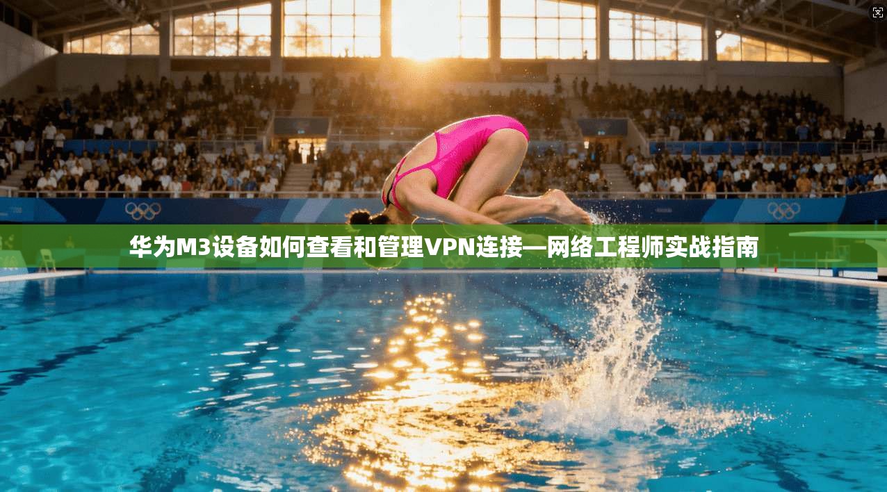 华为M3设备如何查看和管理VPN连接—网络工程师实战指南