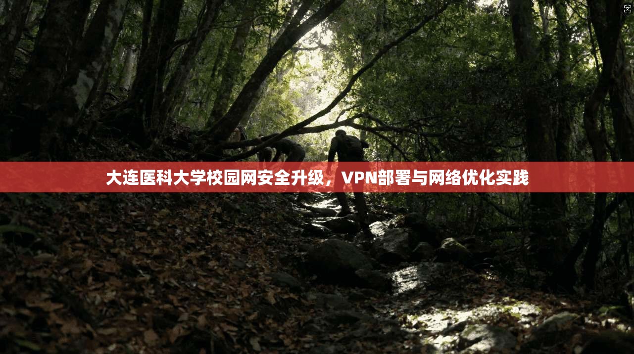 大连医科大学校园网安全升级，VPN部署与网络优化实践
