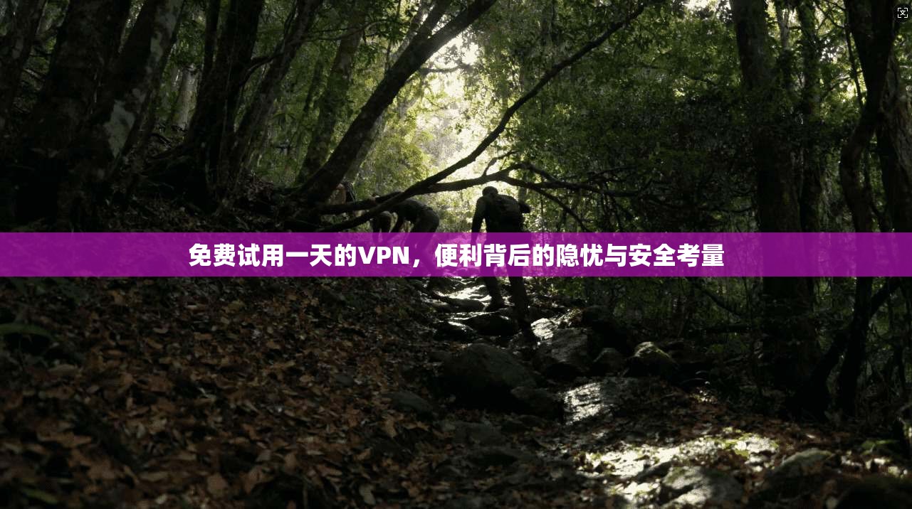 免费试用一天的VPN，便利背后的隐忧与安全考量
