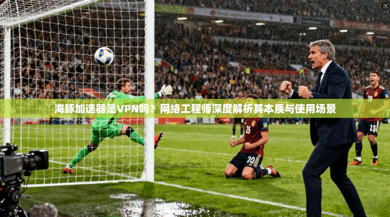 海豚加速器是VPN吗？网络工程师深度解析其本质与使用场景