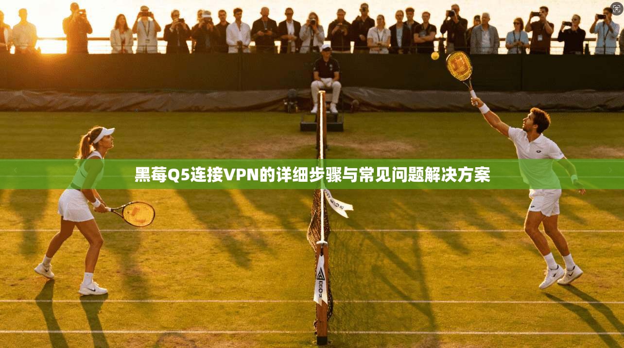 黑莓Q5连接VPN的详细步骤与常见问题解决方案