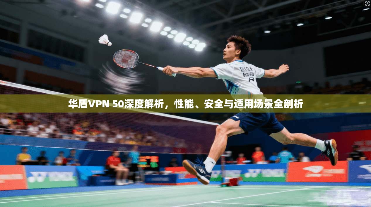 华盾VPN 50深度解析，性能、安全与适用场景全剖析