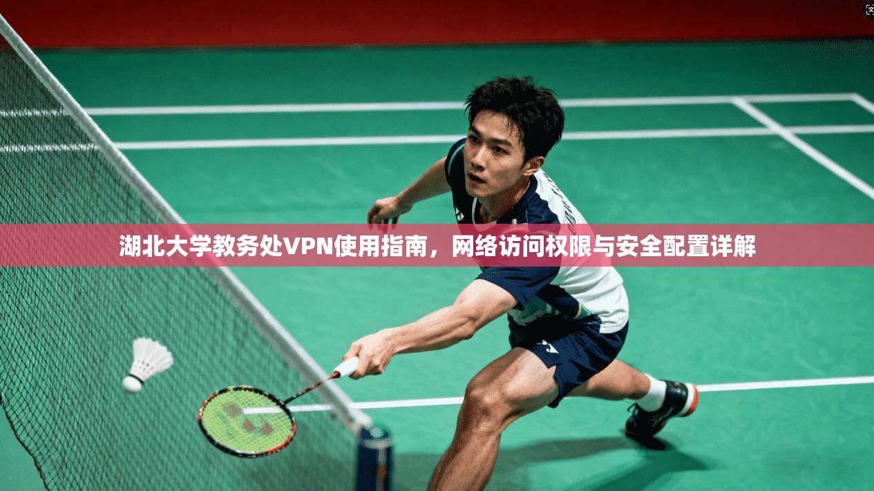 湖北大学教务处VPN使用指南，网络访问权限与安全配置详解