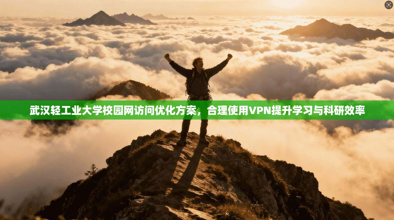 武汉轻工业大学校园网访问优化方案，合理使用VPN提升学习与科研效率