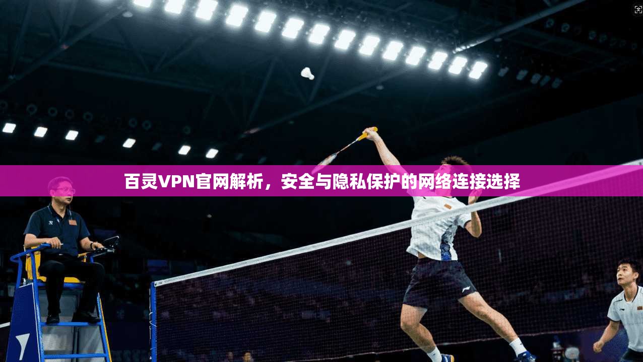 百灵VPN官网解析，安全与隐私保护的网络连接选择