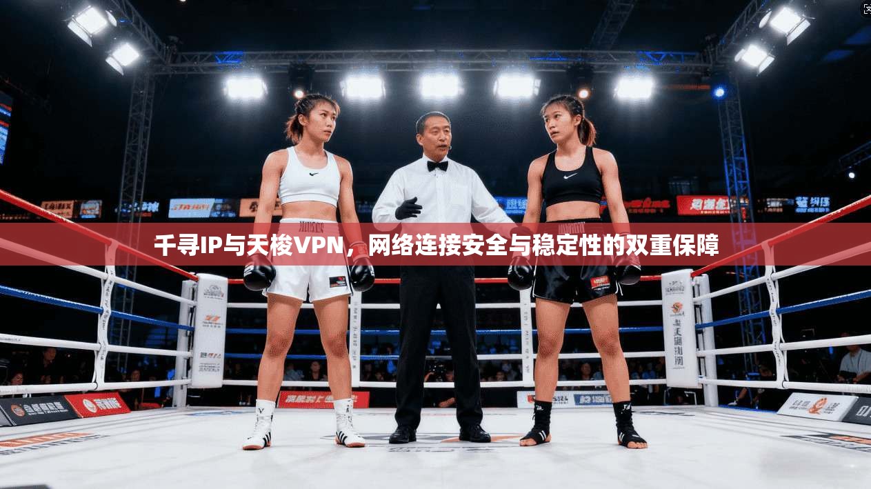 千寻IP与天梭VPN,网络连接安全与稳定性的双重保障